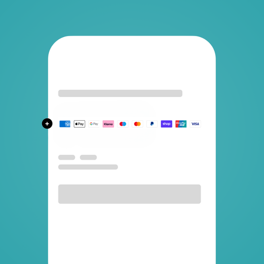 Shopify Payment Icons